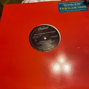 Ann Wilson and Robin Zander Surrender To Me 12” Vinyl Single Heart Cheap Trick